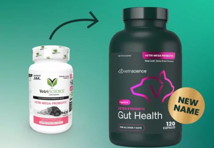 VetriScience Extra Strength Gut Health kapszula  120 kapszula