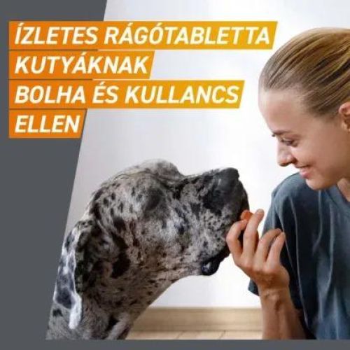 FRONTPRO RÁGÓTABLETTA KUTYA L/25-50KG/  3 tabletta