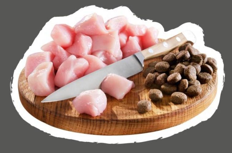 Belcando Puppy Gravy  4 kg
