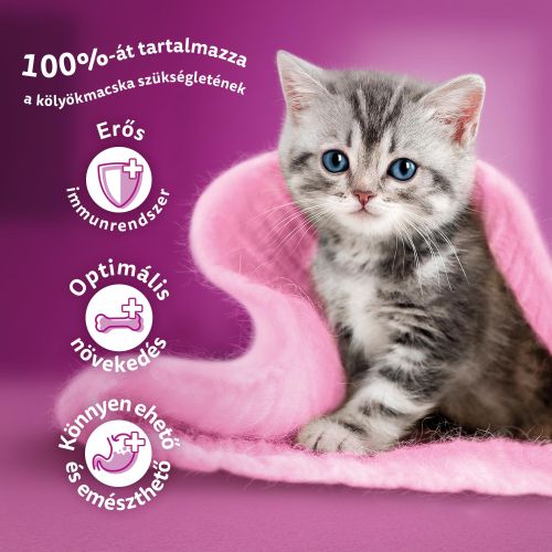 Whiskas alutasak 12 pack eledel kölyök macskák részére krémes ízesítéssel 12x85 g 12 x  85 g