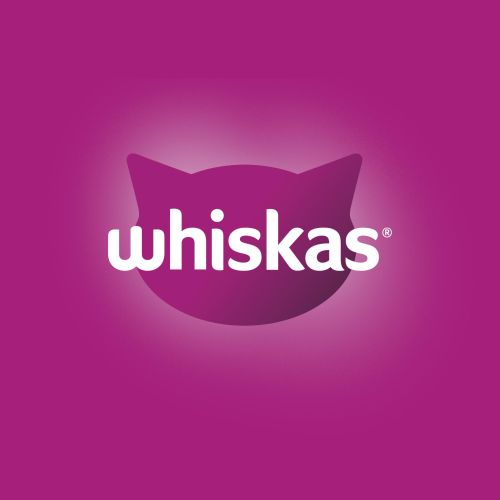 Whiskas alutasak 12 pack eledel kölyök macskák részére krémes ízesítéssel 12x85 g 12 x  85 g