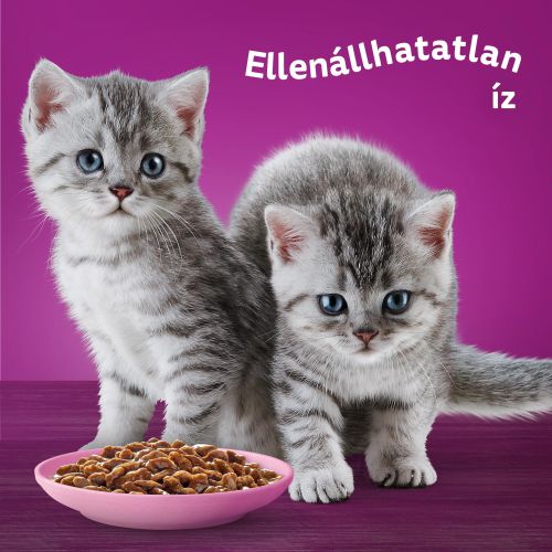Whiskas alutasak eledel kölyök macskák részére krémes ízesítéssel 12 x  85 g