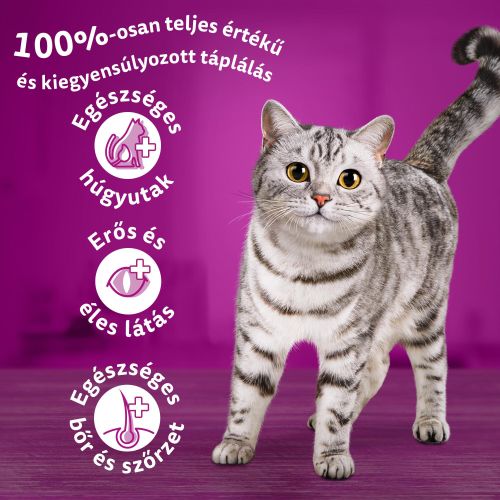 Whiskas alutasak 12 pack eledel macskák részére krémes ízesítéssel 12x85 g 12 x  85 g