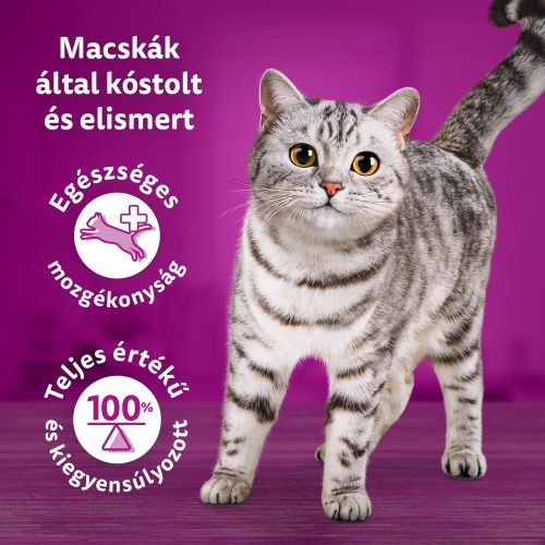 Whiskas alutasak eledel macskák részére a séf ajánlata ízesítéssel 12 x  85 g