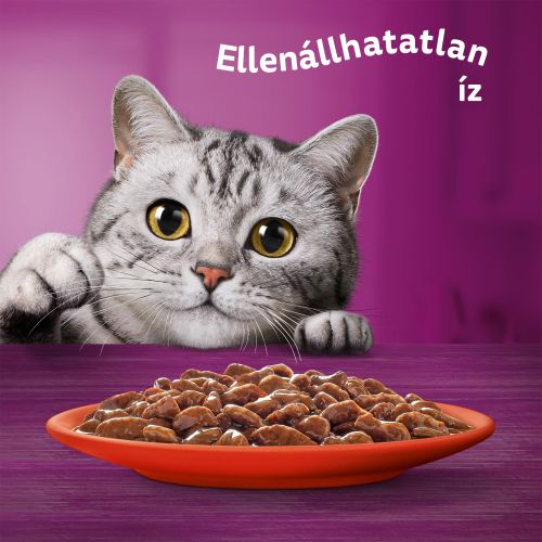 WHISKAS alutasakos 12-pack húsos 12*85g eledel macskák részére 12 x  85 g