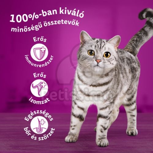 Whiskas klasszikus tasakos eledel válogatás felnőtt macskák számára 80 x  85 g