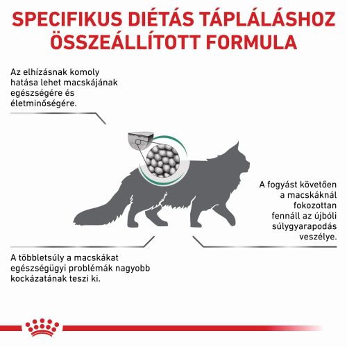 Royal Canin Satiety Weight Management száraz macskaeledel  400 g