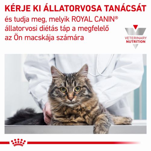Royal Canin Satiety Weight Management száraz macskaeledel  400 g