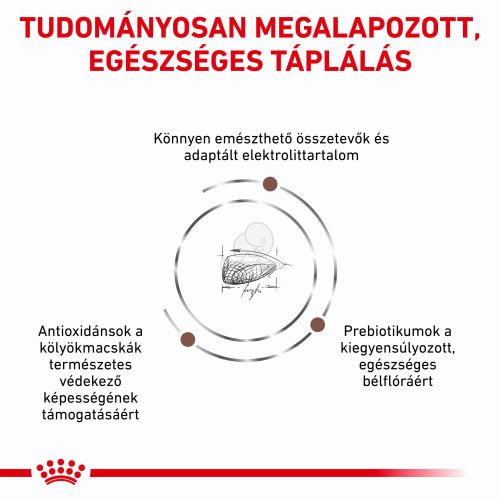 Royal Canin Gastrointestinal Kitten száraz macskaeledel  2 kg