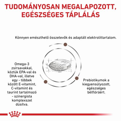 Royal Canin Gastrointestinal Hairball száraz macskatáp  400 g