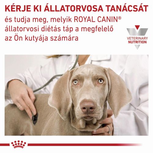 Royal Canin Urinary S/O alutasakos kutyaeledel  100 g