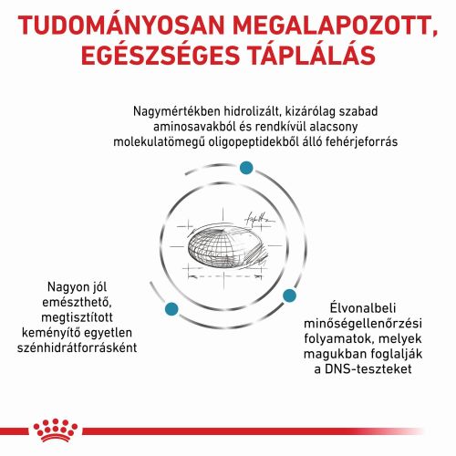 Royal Canin Anallergenic Small száraz eledel kistestű kutyáknak  3 kg