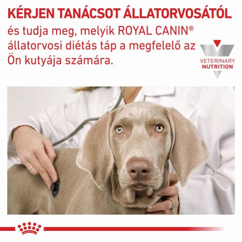 Royal Canin Anallergenic Small száraz eledel kistestű kutyáknak  3 kg