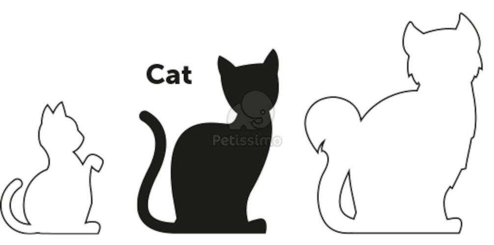 Flamingo egérmintás hám és póráz macskáknak  20-35 cm/25-45 cm