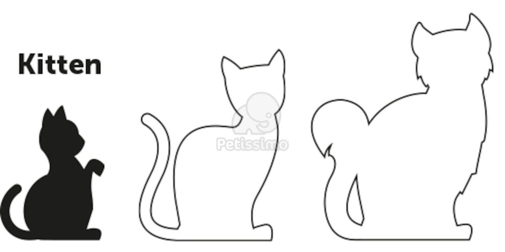 Flamingo egérmintás hám és póráz macskáknak  15-25 cm/20-35 cm