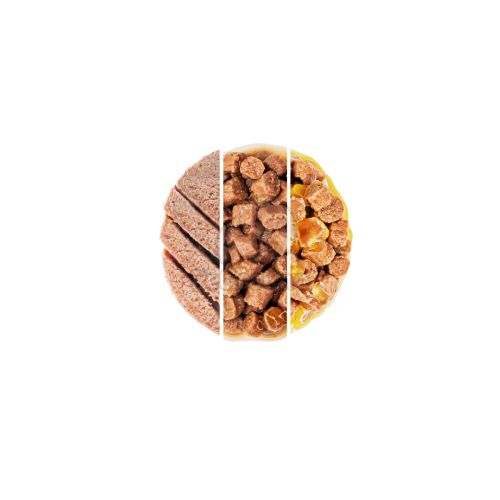 Royal Canin Kitten - Multipack nedvestáp 4 x  85 g