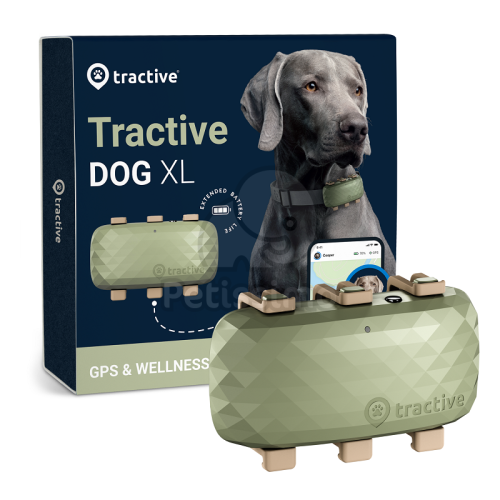 Tractive Dog XL - kutya GPS nyomkövető és aktivitásmérő  Zöld 