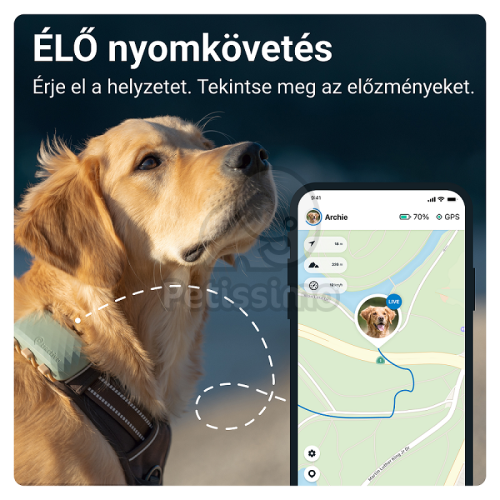 Tractive Dog XL - kutya GPS nyomkövető és aktivitásmérő  Zöld 