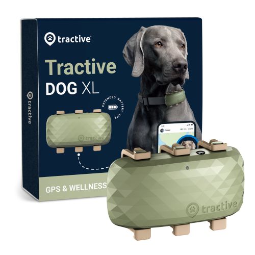 Tractive Dog XL - kutya GPS nyomkövető és aktivitásmérő  Zöld db