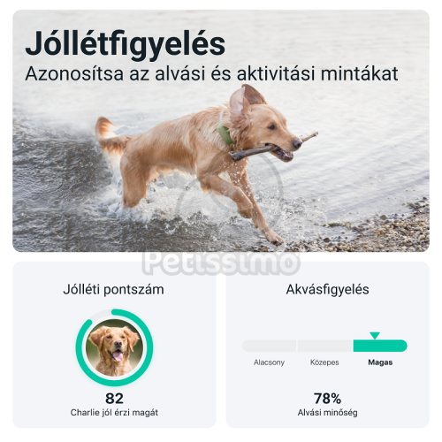 Tractive Dog XL - kutya GPS nyomkövető és aktivitásmérő  Zöld db