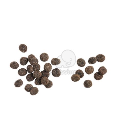 Belcando Baseline Explorer  12.5 kg