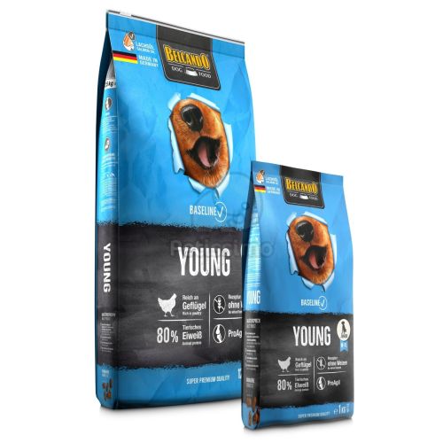 Belcando Baseline Young  12.5 kg