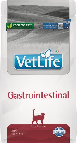 Vet Life Cat Gastrointestinal  2 kg