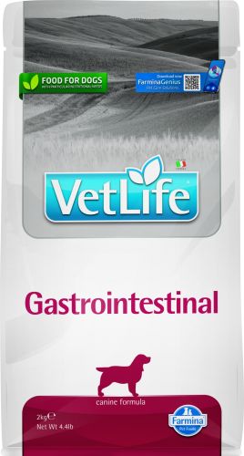 Vet Life Dog Gastrointestinal  2 kg