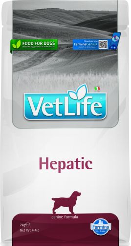 Vet Life Dog Hepatic  2 kg