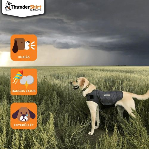 ThunderShirt nyugi mellény kutyáknak  XL db