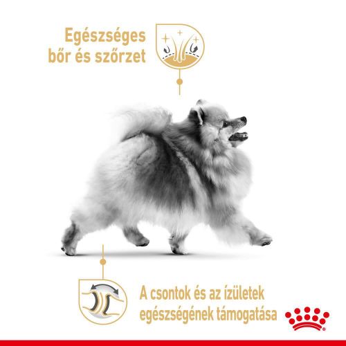Royal Canin Pomeranian Adult - Pomerániai törpespicc felnőtt kutya nedves táp 12 x  85 g