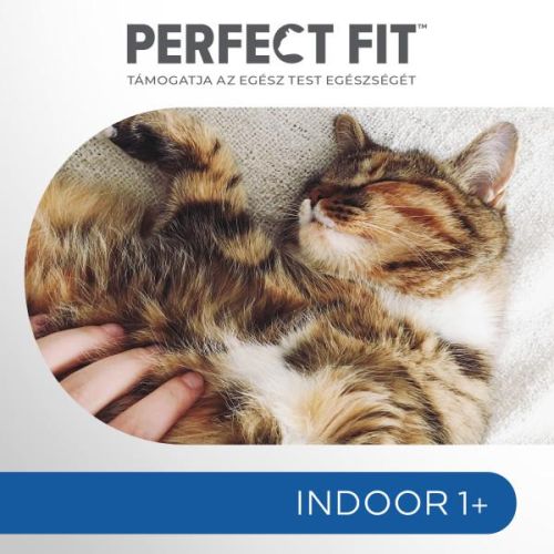 Perfect Fit alutasak csirke-lazac ízesítésben benti macskák részére 4 x  85 g