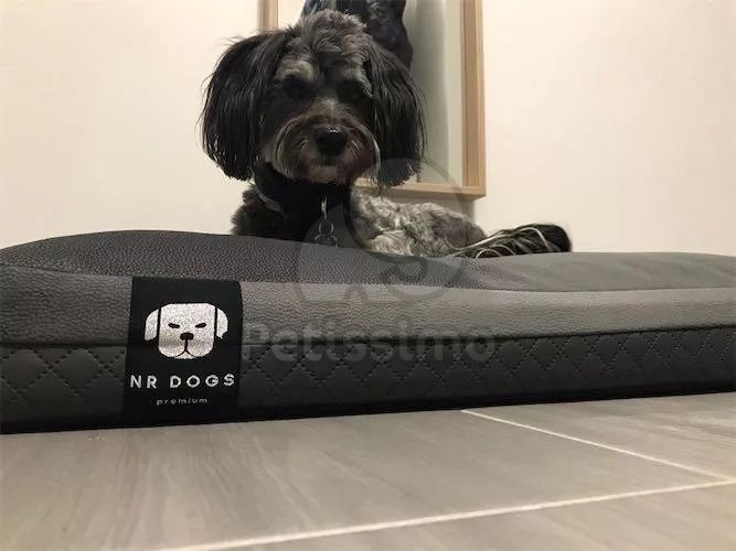 NRDOGS Soft Magic Prémium kutyafekhely - szürke  80x60 cm