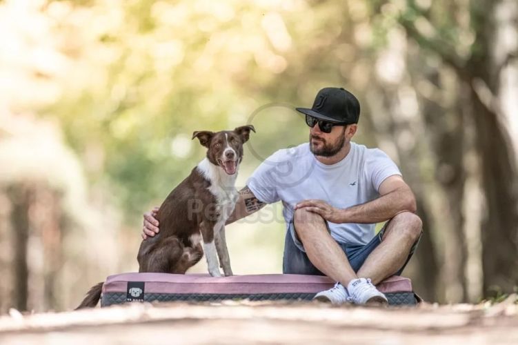 NRDOGS Soft Magic Prémium kutyafekhely - pink  80x60 cm