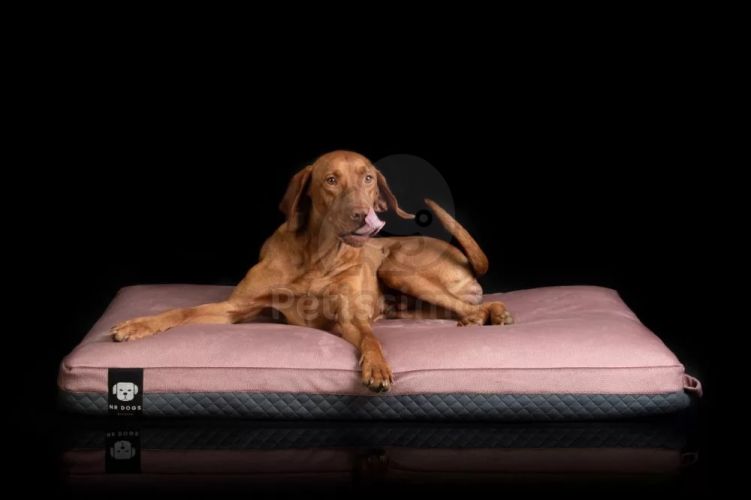 NRDOGS Soft Magic Prémium kutyafekhely - pink  100x70 cm