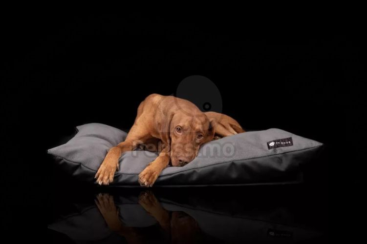 NRDOGS Soft Magic Basic kutyafekhely - szürke  60x47 cm