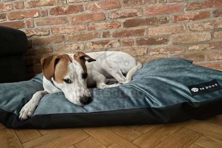 NRDOGS Soft Magic Basic kutyafekhely - oceánkék  107x68 cm