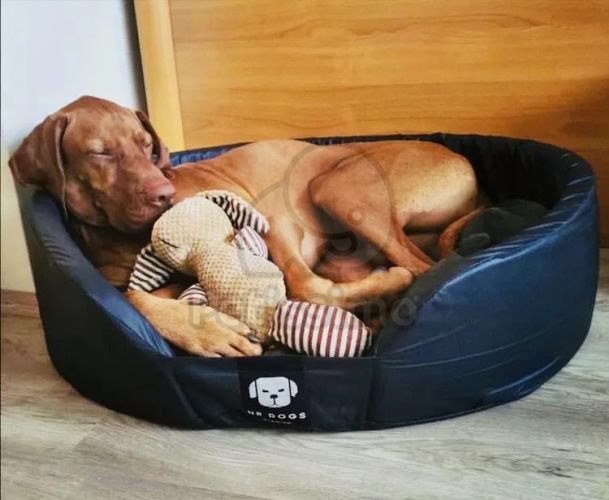 NRDOGS Soft Magic Peremes kutyafekhely - szürke  50x45 cm