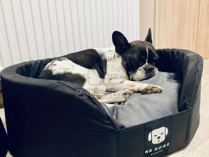 NRDOGS Soft Magic Peremes kutyafekhely - szürke  80x63 cm