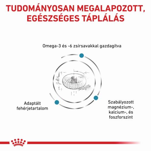 Royal Canin Skin&Coat diétás száraz állateledel felnőtt macskák számára  0.4 kg