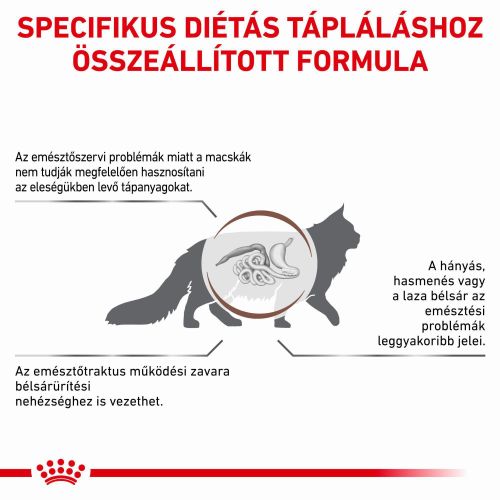 Royal Canin Feline Fibre Response Dry 31  2 kg