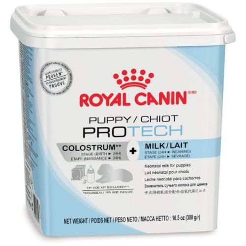   0.3 kg