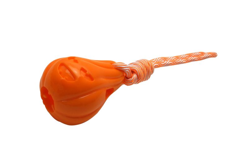 GimDog Haloween tök  1 db