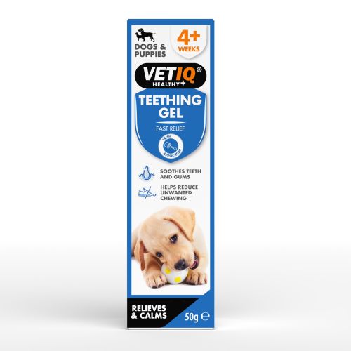 VetIQ Teething Gel Dogs & Puppies foggél  50 g