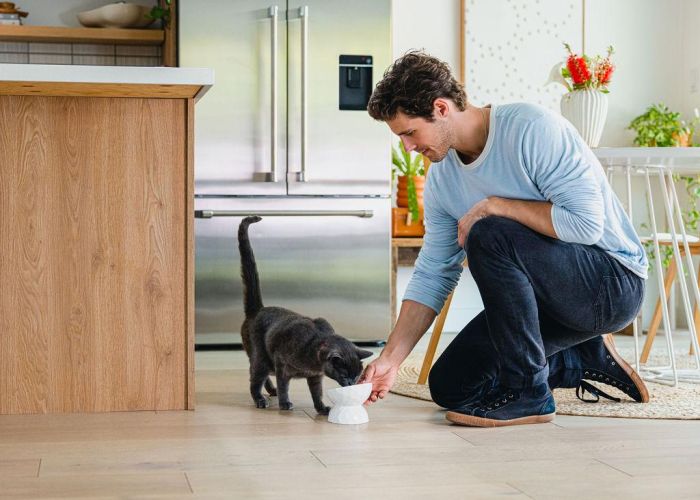 Inaba Cat Churu Twin Packs - tonhal-csirke 2 x  40 g