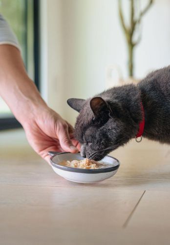 Inaba Cat Churu Dashi Delights - csirke-tonhal-fésűkagyló  70 g