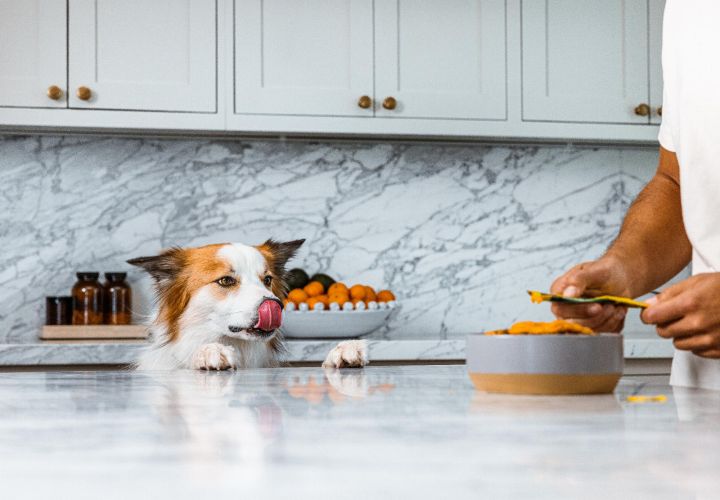 Inaba Dog Churu Meal Topper - csirke-marha 4 x  14 g