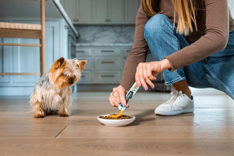 Inaba Dog Churu Meal Topper - csirke-sütőtök 4 x  14 g