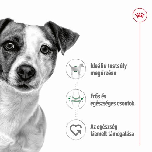Royal Canin Mini Adult konzerv  195 g
