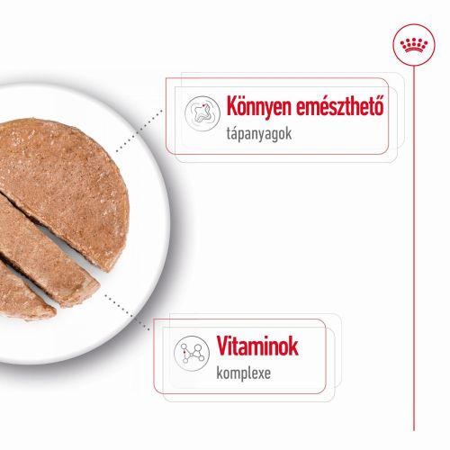 Royal Canin Mini Adult konzerv  195 g